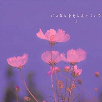 神魔情缘手游下载