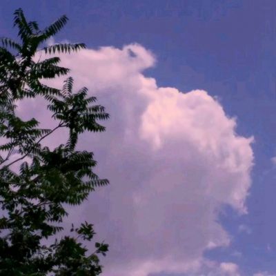 秘宝猎人小米定制版下载